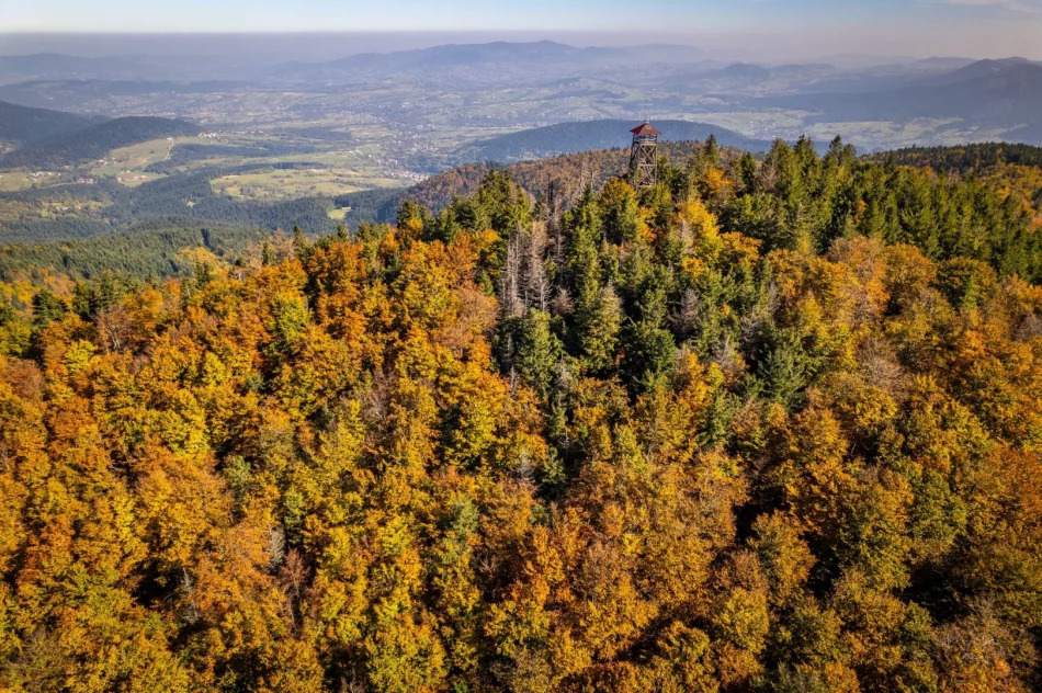 Największa atrakcja wciąż zamknięta. Powodem "niestabilna sytuacja na rynku" - zdjęcie 3