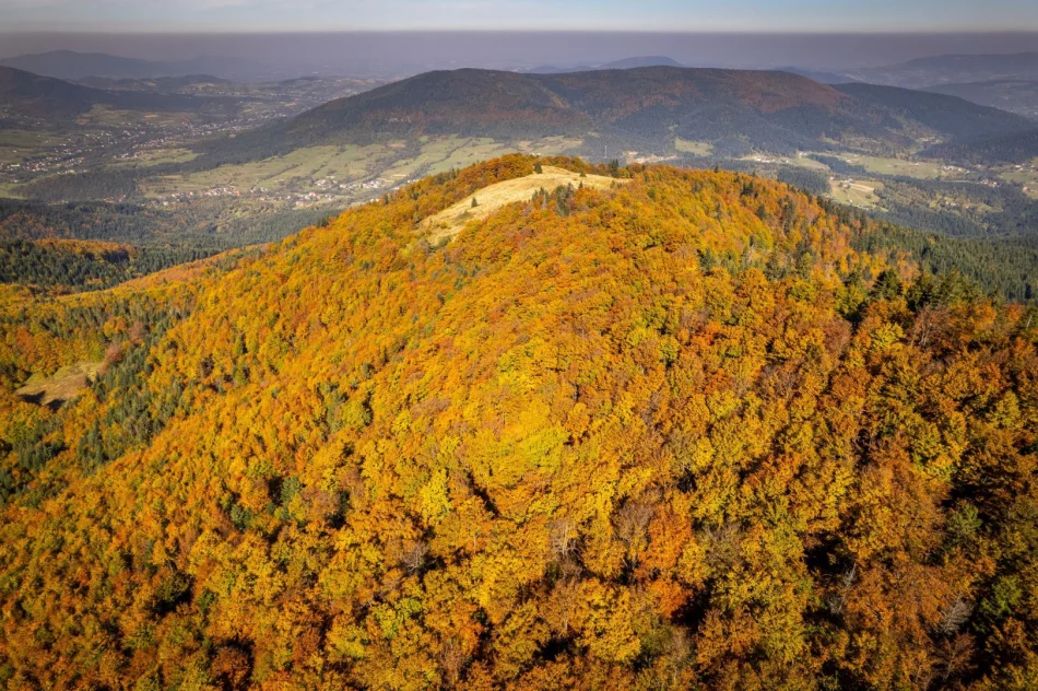 Największa atrakcja wciąż zamknięta. Powodem "niestabilna sytuacja na rynku" - zdjęcie 4