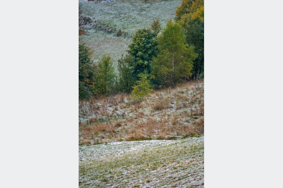 Spadł pierwszy śnieg. Lokalnie deszczowo, ale z rozpogodzeniami - w nocy mróz - zdjęcie 2