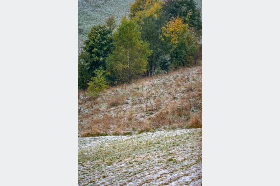 Spadł pierwszy śnieg. Lokalnie deszczowo, ale z rozpogodzeniami - w nocy mróz - zdjęcie 3