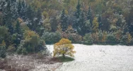 Spadł pierwszy śnieg. Lokalnie deszczowo, ale z rozpogodzeniami - w nocy mróz - zdjęcie 4