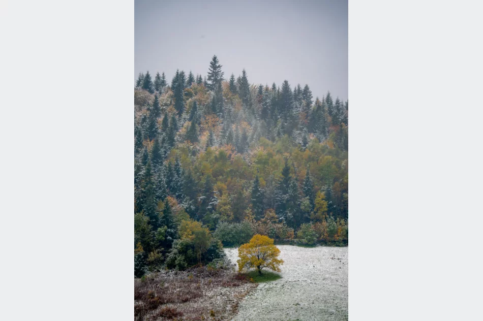 Spadł pierwszy śnieg. Lokalnie deszczowo, ale z rozpogodzeniami - w nocy mróz - zdjęcie 5