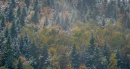 Spadł pierwszy śnieg. Lokalnie deszczowo, ale z rozpogodzeniami - w nocy mróz - zdjęcie 5