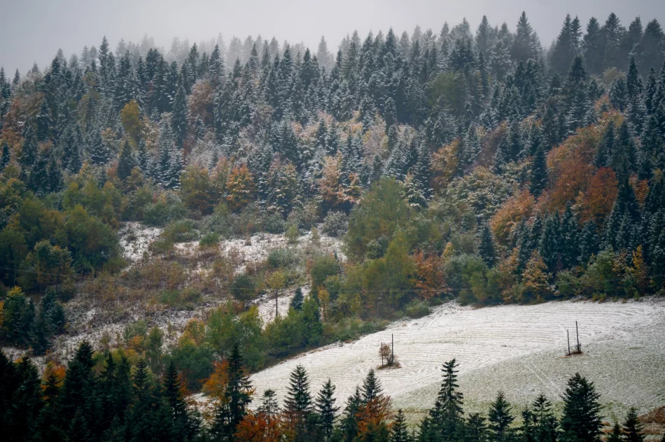 Spadł pierwszy śnieg. Lokalnie deszczowo, ale z rozpogodzeniami - w nocy mróz - zdjęcie 6