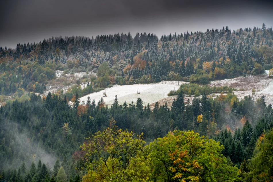 Spadł pierwszy śnieg. Lokalnie deszczowo, ale z rozpogodzeniami - w nocy mróz - zdjęcie 7