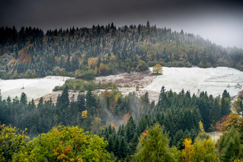 Spadł pierwszy śnieg. Lokalnie deszczowo, ale z rozpogodzeniami - w nocy mróz - zdjęcie 8