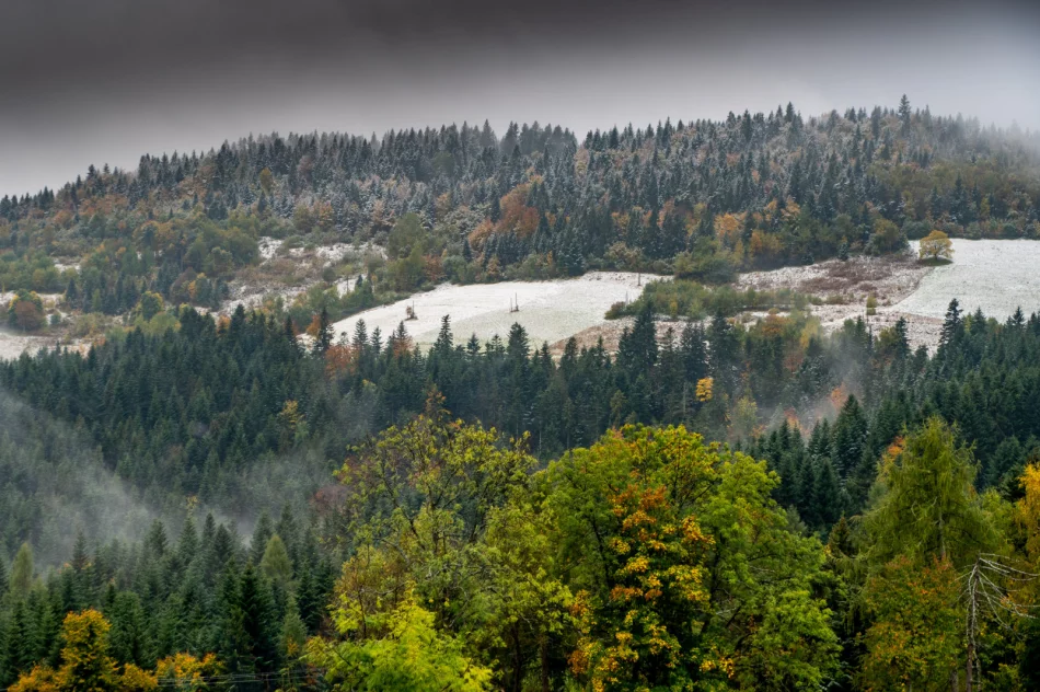 Spadł pierwszy śnieg. Lokalnie deszczowo, ale z rozpogodzeniami - w nocy mróz - zdjęcie 9