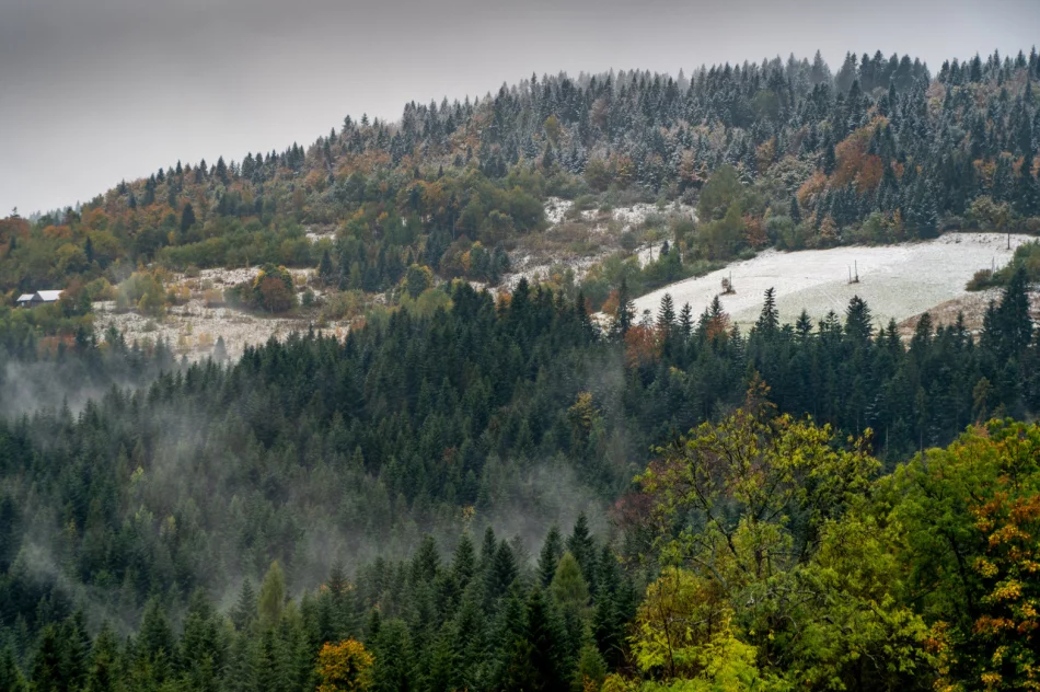 Spadł pierwszy śnieg. Lokalnie deszczowo, ale z rozpogodzeniami - w nocy mróz - zdjęcie 10