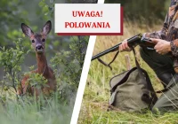 Kalendarz polowań w sezonie łowieckim 2021/2022 - zdjęcie główne