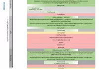 Czym leczyć COVID-19? Są nowe zalecenia farmakoterapii (grafika) - zdjęcie główne