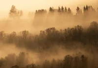 Apel samorządu na rozpoczęcie sezonu grzewczego. Będą kontrole w domach - zdjęcie główne