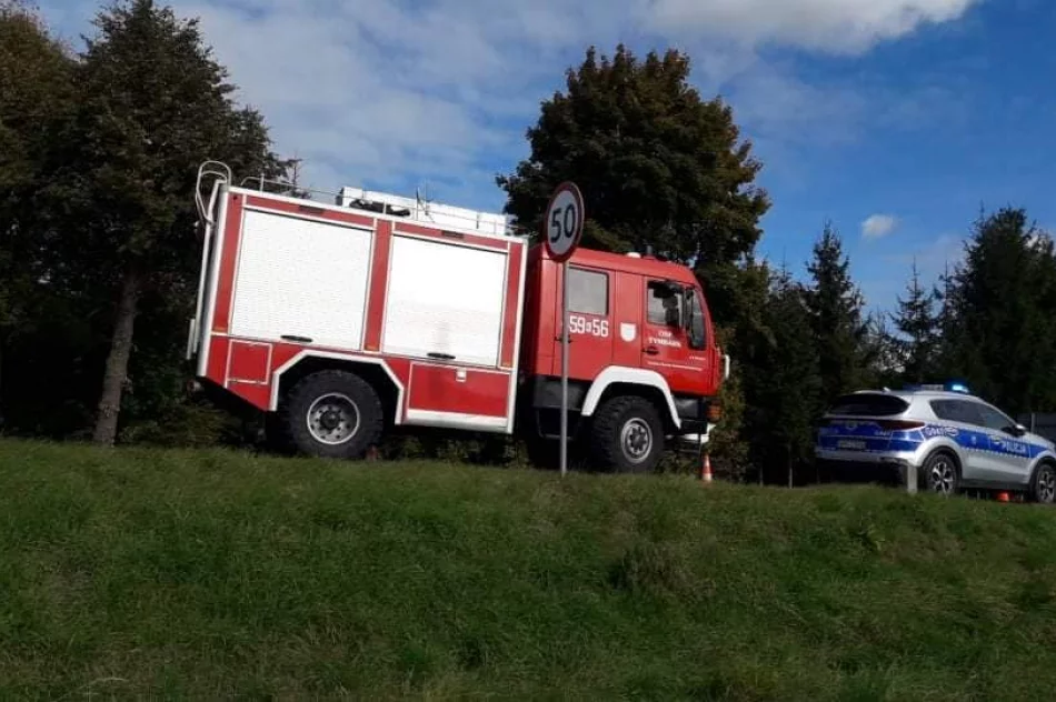 Zderzenie ciężarówki i samochodu, jedna osoba w szpitalu - zdjęcie 2