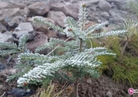 Uwaga na gołoledź - III stopień ostrzeżenia - zdjęcie główne