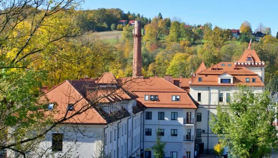 W styczniu więcej zarejestrowanych bezrobotnych - zdjęcie 1