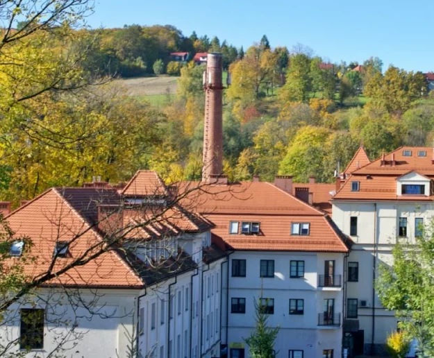 Rusza nabór wniosków na staże i prace interwencyjne. Są ograniczenia - zdjęcie główne