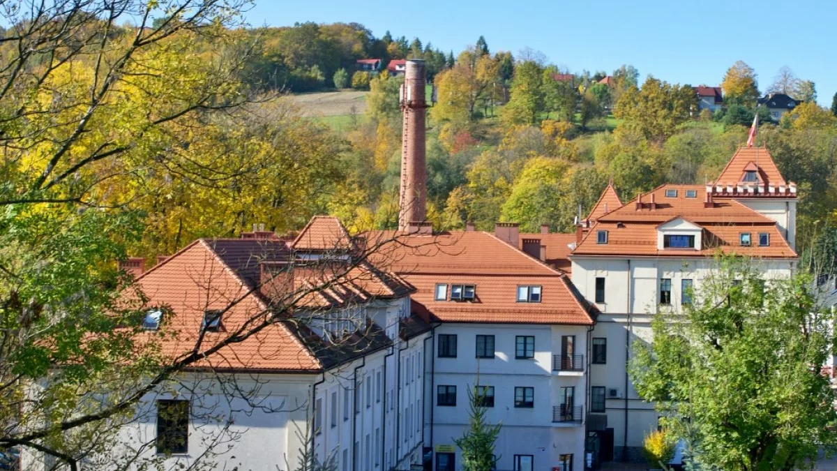 Budynek Powiatowego Urzędu Pracy w Limanowej widok z zewnątrz