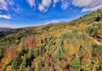 Astronomiczna jesień. Co ciekawego będziemy podziwiać na niebie? - zdjęcie główne