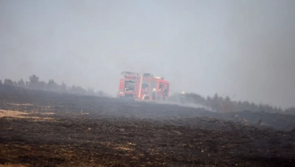 Znaczący spadek liczby pożarów traw - zdjęcie 1