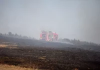 Znaczący spadek liczby pożarów traw - zdjęcie główne