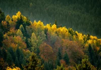 IMGW: silny wiatr, w górach nawet 130km/h - zdjęcie główne