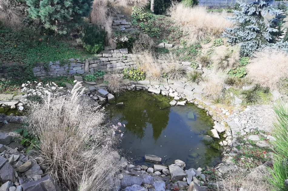 Zwiedzali ogrody… - zdjęcie 5