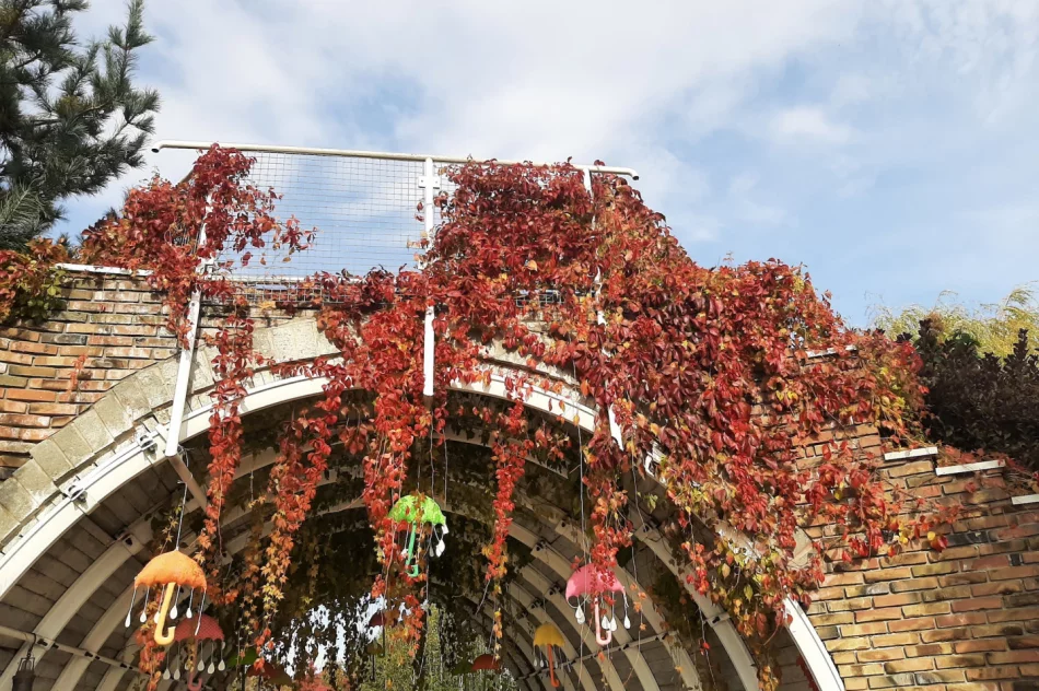 Zwiedzali ogrody… - zdjęcie 7