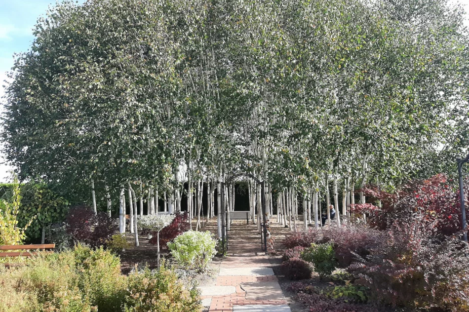 Zwiedzali ogrody… - zdjęcie 9