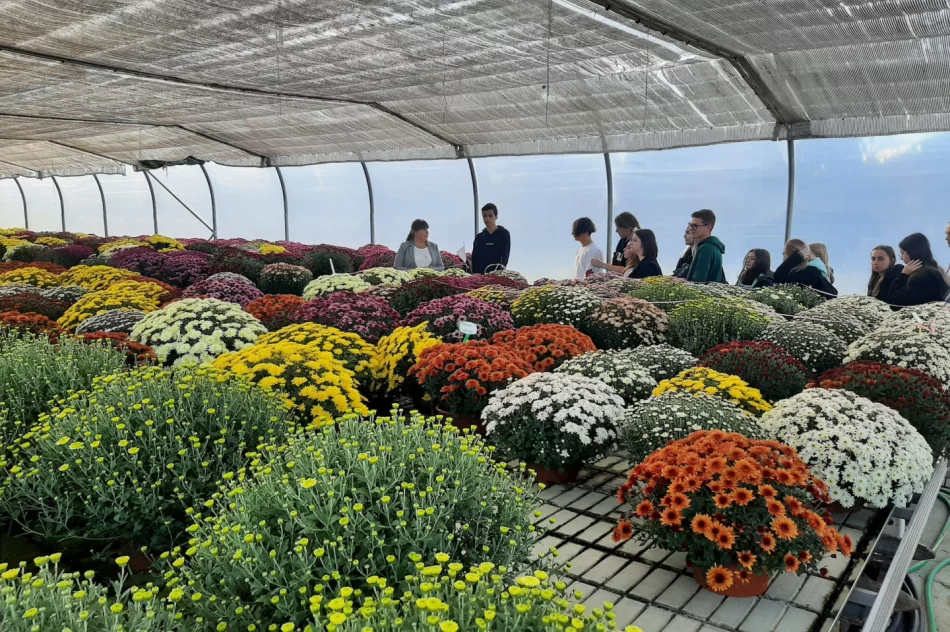 Zwiedzali ogrody… - zdjęcie 16