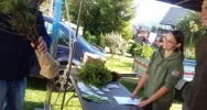 Nadleśnictwo przekazało sadzonki dla szkół - zdjęcie 4