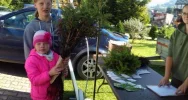 Nadleśnictwo przekazało sadzonki dla szkół - zdjęcie 5