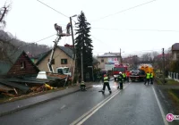Przyznał się do prowadzenia porsche - zdjęcie główne