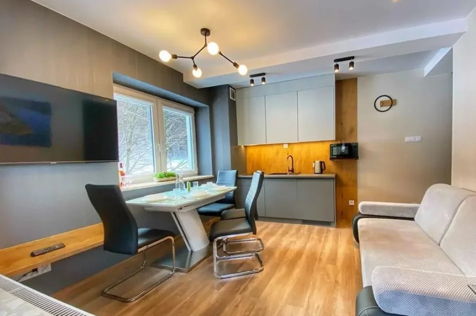 Kurort Kozubnik-Apartament*33. - zdjęcie 2