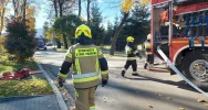 Ewakuacja budynku Urzędu Gminy - zdjęcie 3