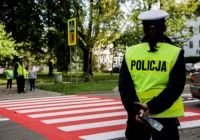 Większość ujawnionych wykroczeń popełnili kierowcy wobec pieszych - zdjęcie główne