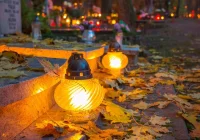 Listopadowe refleksje – felieton Janiny Firlej - zdjęcie główne