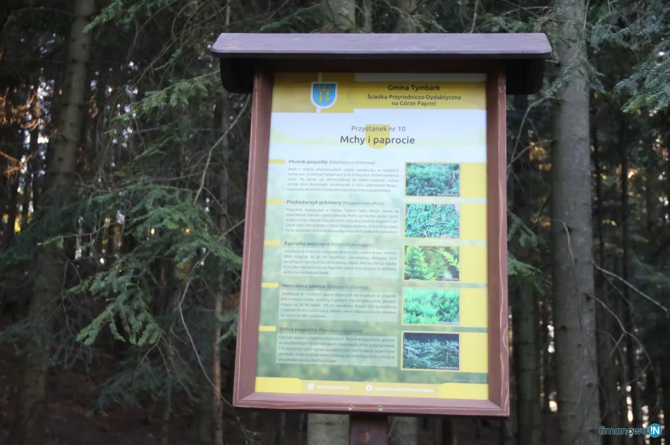 Ogłoszono wyniki plebiscytu - ścieżka dydaktyczna "perłą turystyczną" - zdjęcie 2