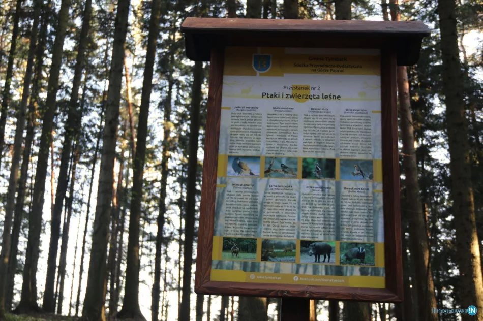 Ogłoszono wyniki plebiscytu - ścieżka dydaktyczna "perłą turystyczną" - zdjęcie 3