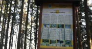 Ogłoszono wyniki plebiscytu - ścieżka dydaktyczna "perłą turystyczną" - zdjęcie 3