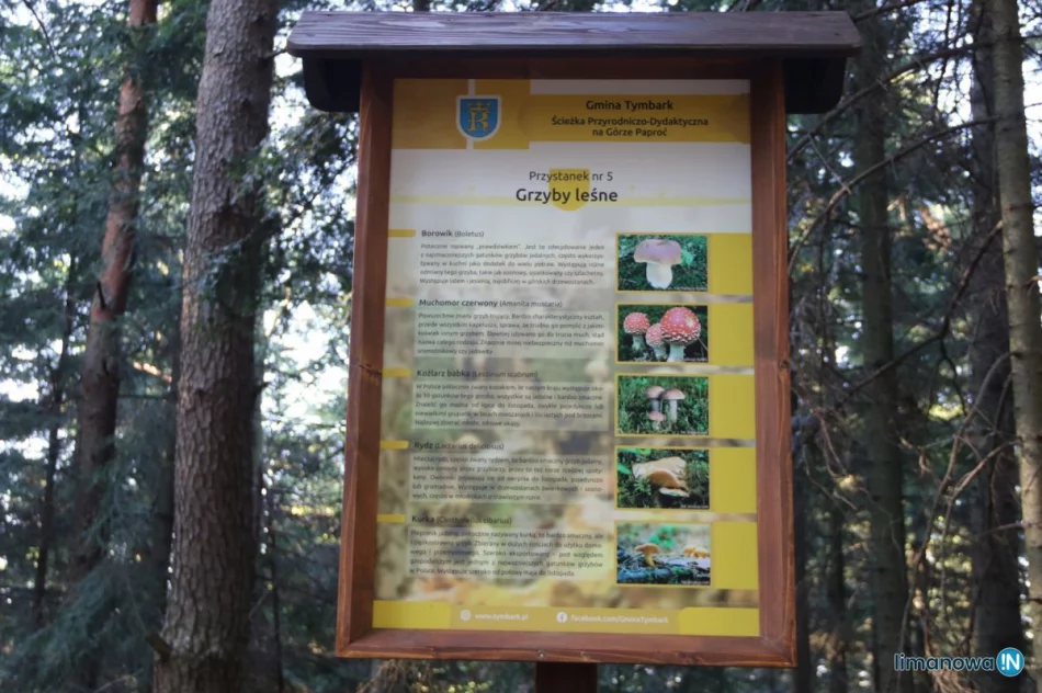 Ogłoszono wyniki plebiscytu - ścieżka dydaktyczna "perłą turystyczną" - zdjęcie 5