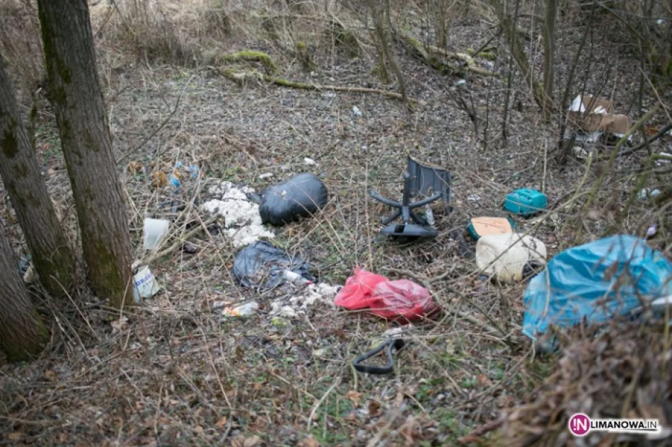 Głowa byka leży przy drodze - zdjęcie 4