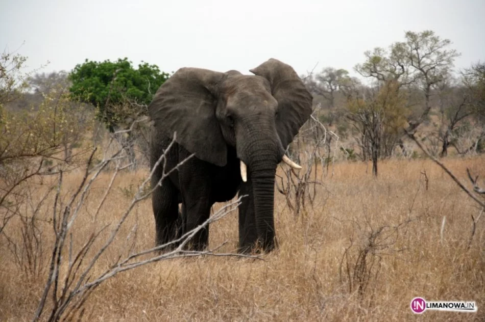 Podróże dalekie i bliskie - Południowa Afryka - zdjęcie 2