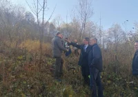 Nowe ruchy osuwiskowe w centrum miejscowości - zdjęcie główne