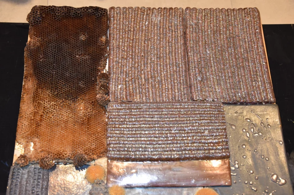  „Spójności i sprzeczności' w miejskiej galerii sztuki - zdjęcie 12