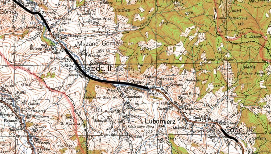 Chcą zaprojektować chodnik przy drodze wojewódzkiej - zdjęcie 1