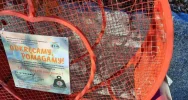 Przerwa w charytatywnej akcji - ktoś zdewastował serce na nakrętki - zdjęcie 3