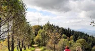 Druhowie z OSP Limanowa wzięli udział w akcji „Czyste szlaki Powiatu Limanowskiego” - zdjęcie 4