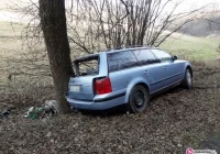 Wypadła z drogi i uderzyła w drzewo - zdjęcie główne