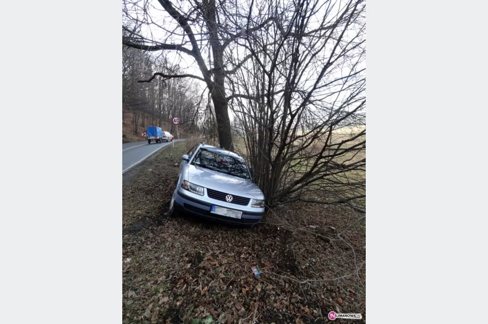 Wypadła z drogi i uderzyła w drzewo - zdjęcie 2