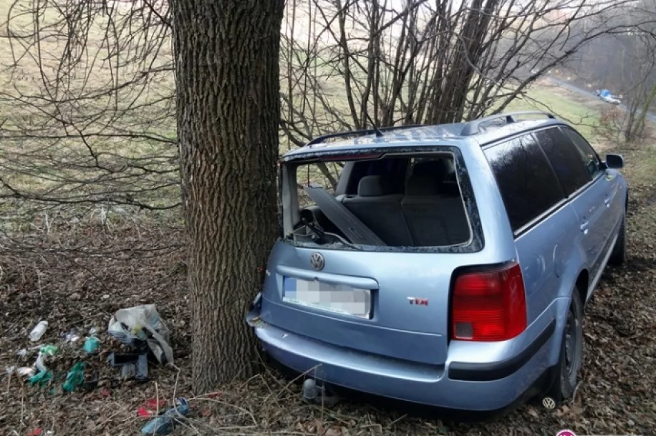 Wypadła z drogi i uderzyła w drzewo - zdjęcie 3