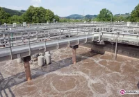 Ceny pozostają bez zmian - zdjęcie główne